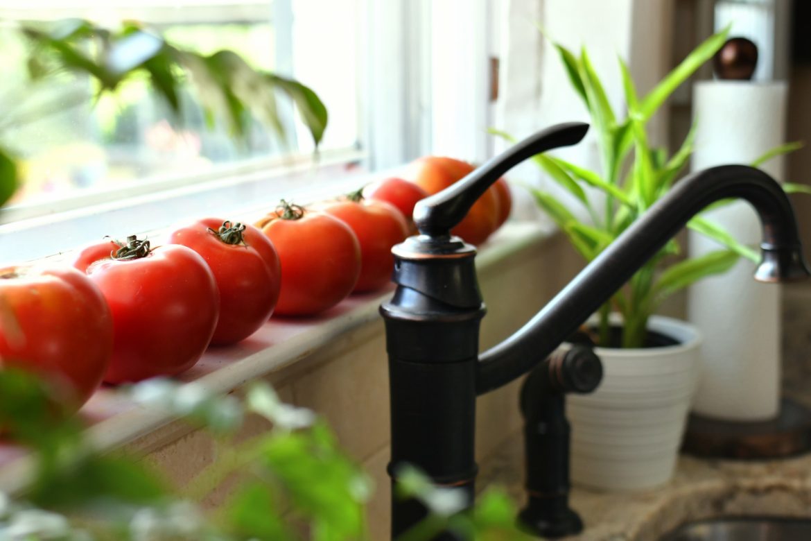Fresh tomatoes from the garden ripening on a kitchen sink windowsill.