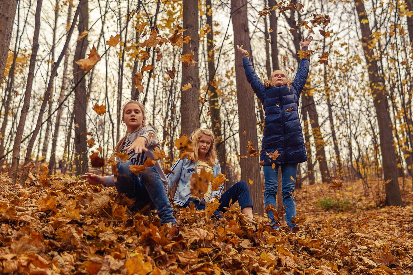 A group of girls throwing leaves in the air

Description automatically generated